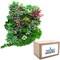 35 Pack Bulk Large Assorted Realistic Artificial Faux Succulents Aloe Plants Realistic Fake Succulent Plants, Largest Set of Succulents
